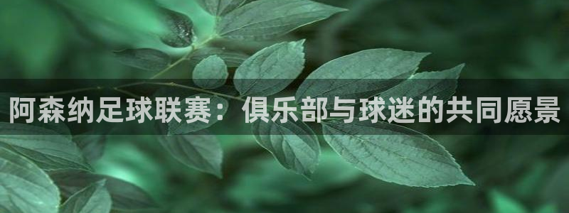 阿森纳足球联赛:俱乐部与球迷的共同愿景