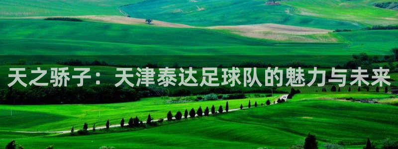 天之骄子:天津泰达足球队的魅力与未来