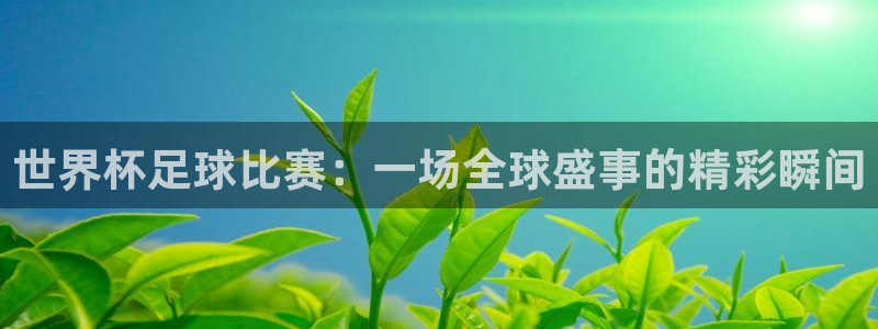 世界杯足球比赛:一场全球盛事的精彩瞬间