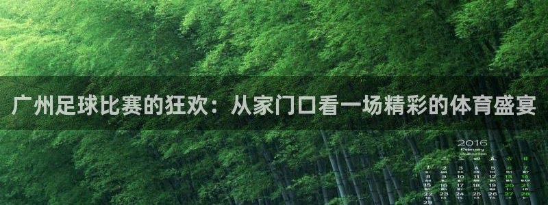 广州足球比赛的狂欢:从家门口看一场精彩的体育盛宴